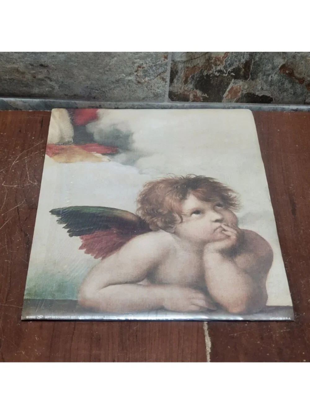Vintage Unframed Sistine Madonna Cherubs Angelo I Art Print Raphael Angels 1995